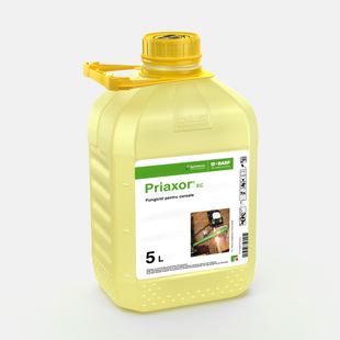 PRIAXOR 5L