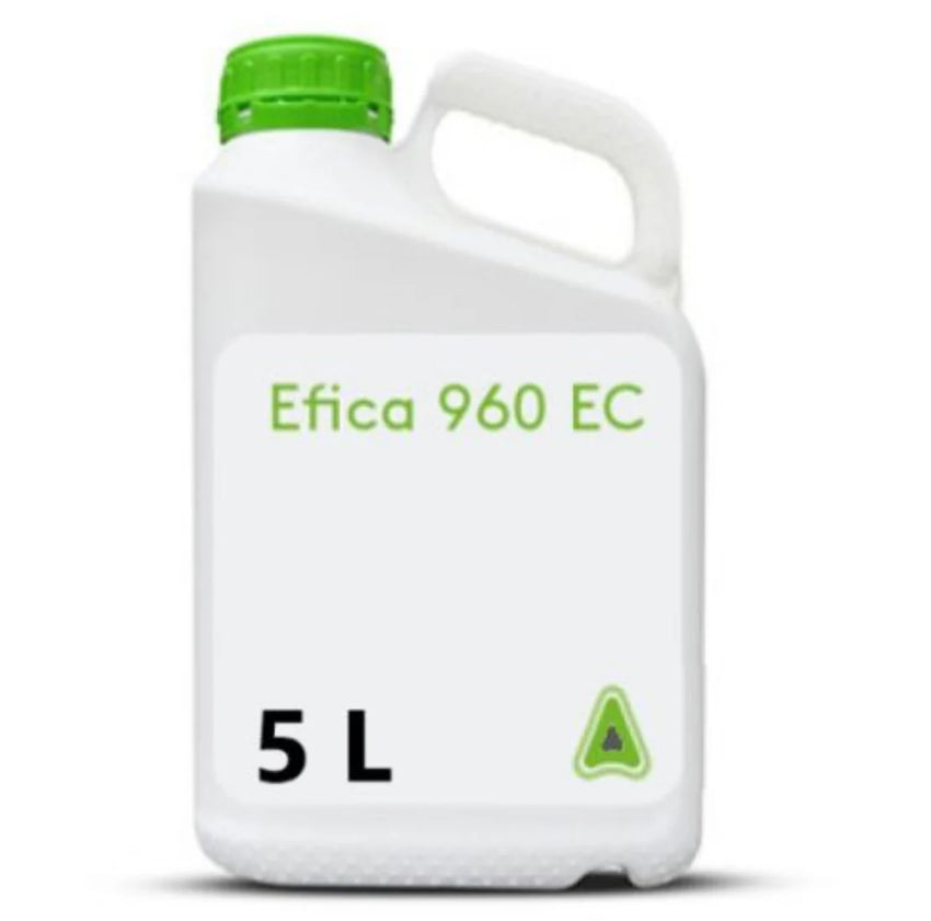 EFICA 960 EC 5L