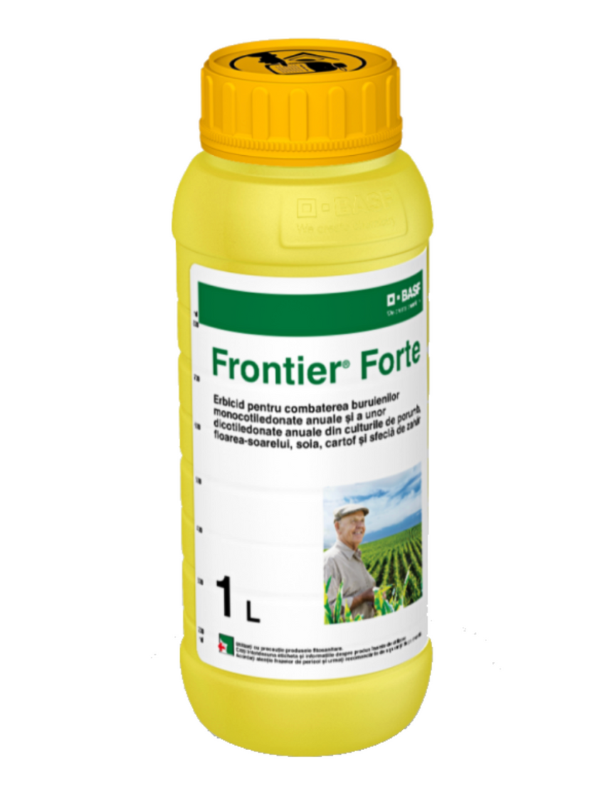 FRONTIER FORTE