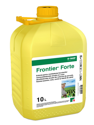 FRONTIER FORTE