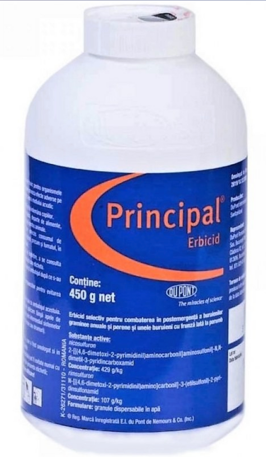 PRINCIPAL