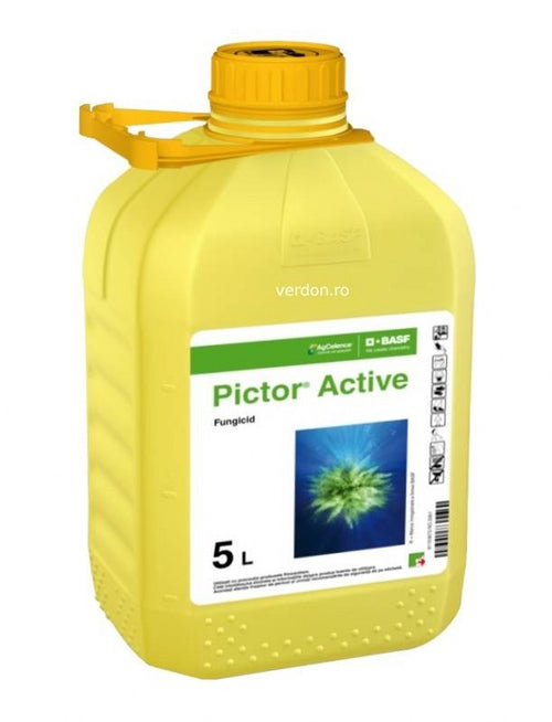 PICTOR 5L