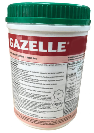 GAZELLE 1KG