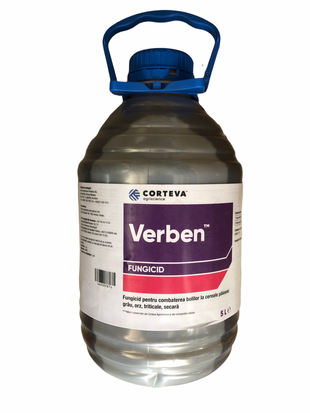 VERBEN 5L